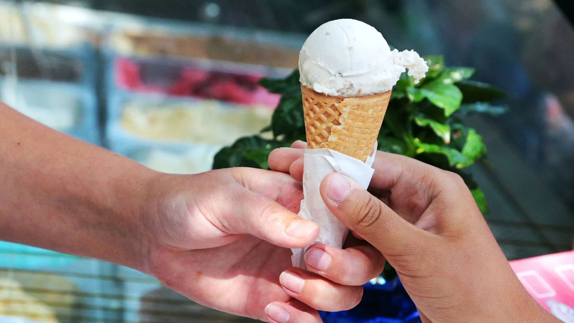 В Украине обнаружен фальсификат мороженого: как отличить натуральный продукт от подделки