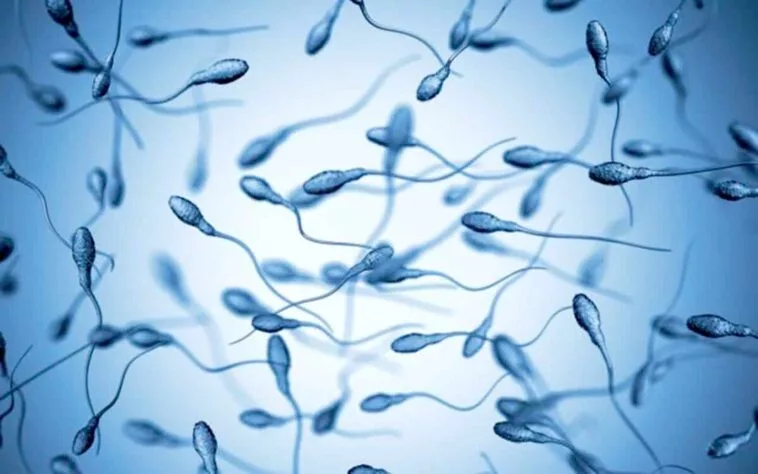 качество спермы
