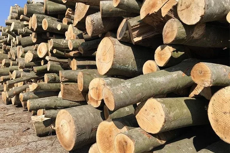 Які дрова найкраще купувати і як можна їх зекономити