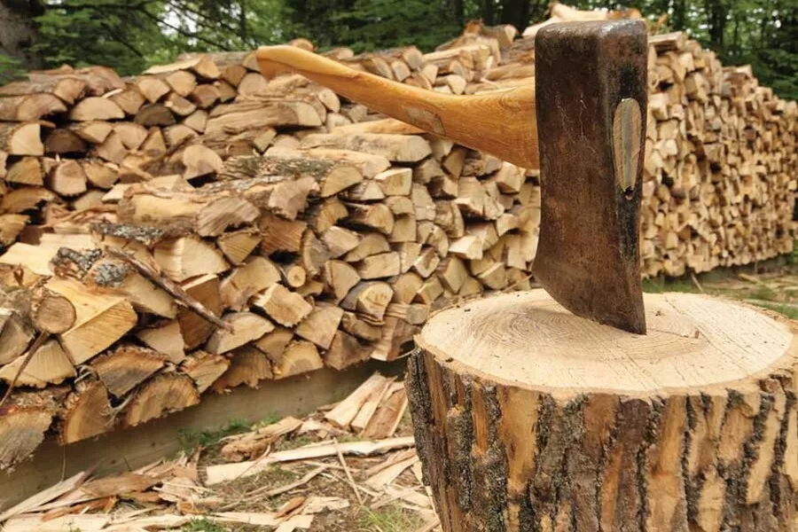 украинцам советуют запастись на зиму дровами
