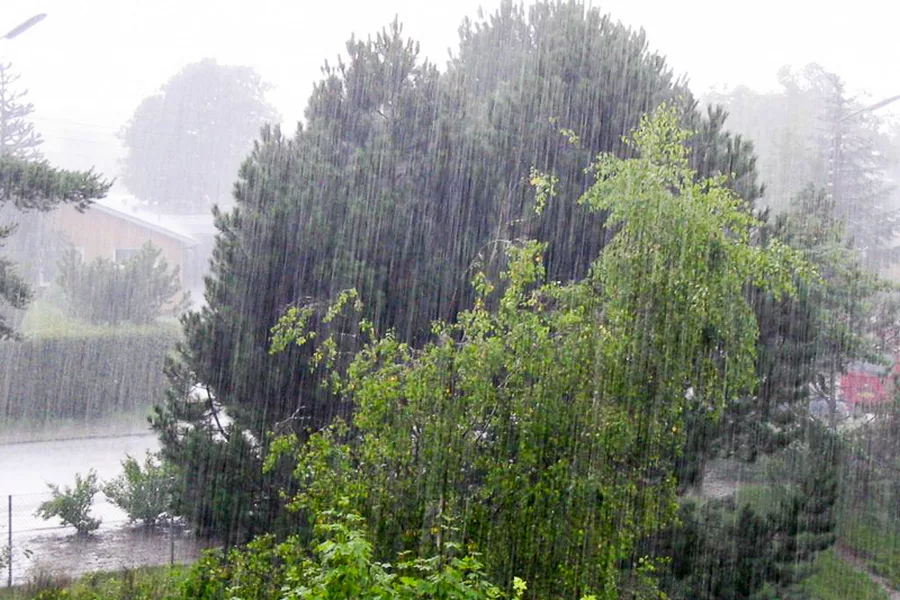 В Україні оголошено штормове попередження – в яких областях погіршиться погода