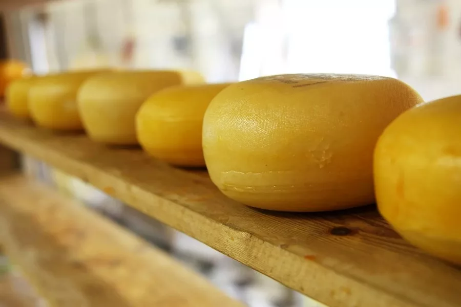 В Україні скоротилося виробництво сирів: які причини занепаду галузі