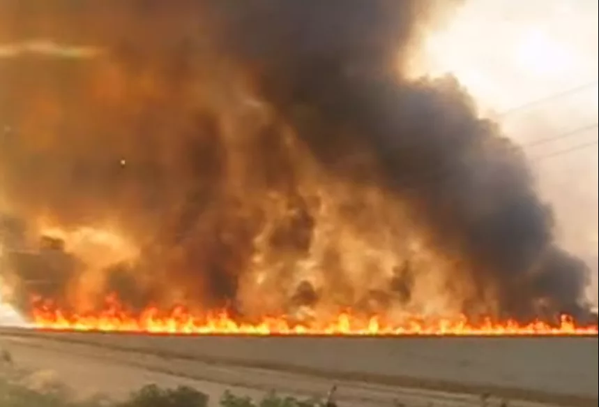 Херсонщина у вогні: внаслідок обстрілів горять поля з пшеницею і ліси – яка загальна ситуація в регіоні