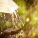Дощі з грозами – у яких областях України прогнозують погіршення погодних умов 20 серпня