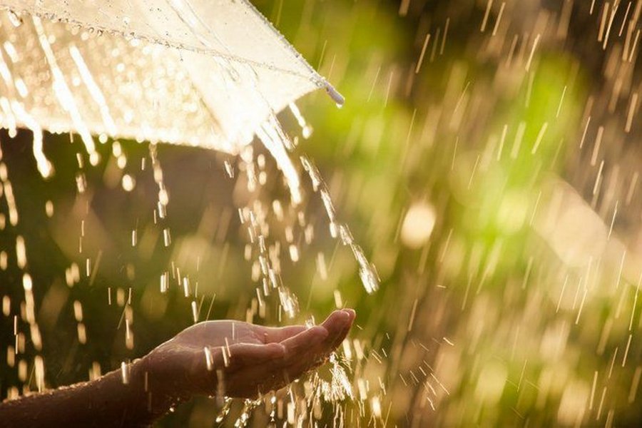 Дощі з грозами – у яких областях України прогнозують погіршення погодних умов 20 серпня
