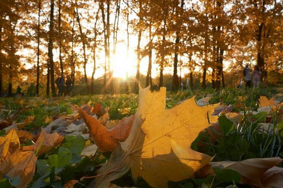 Погода восени – що прогнозують синоптики для українців