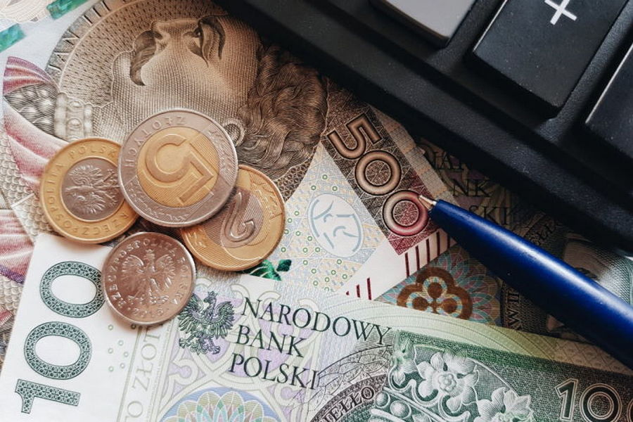 какую зарплату получают украинские беженцы в Польше и сколько денег высылают домой