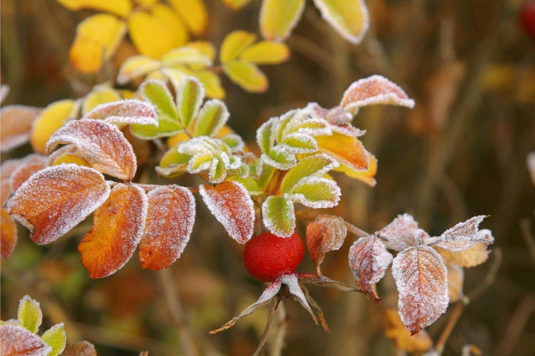 Прогноз погоди на жовтень в Україні – коли очікувати на заморозки