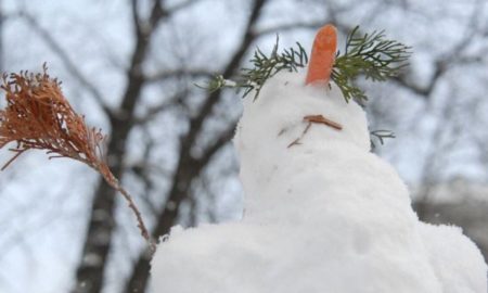 Якою буде зима в Україні - коли вдарять морози і чекати на сніг