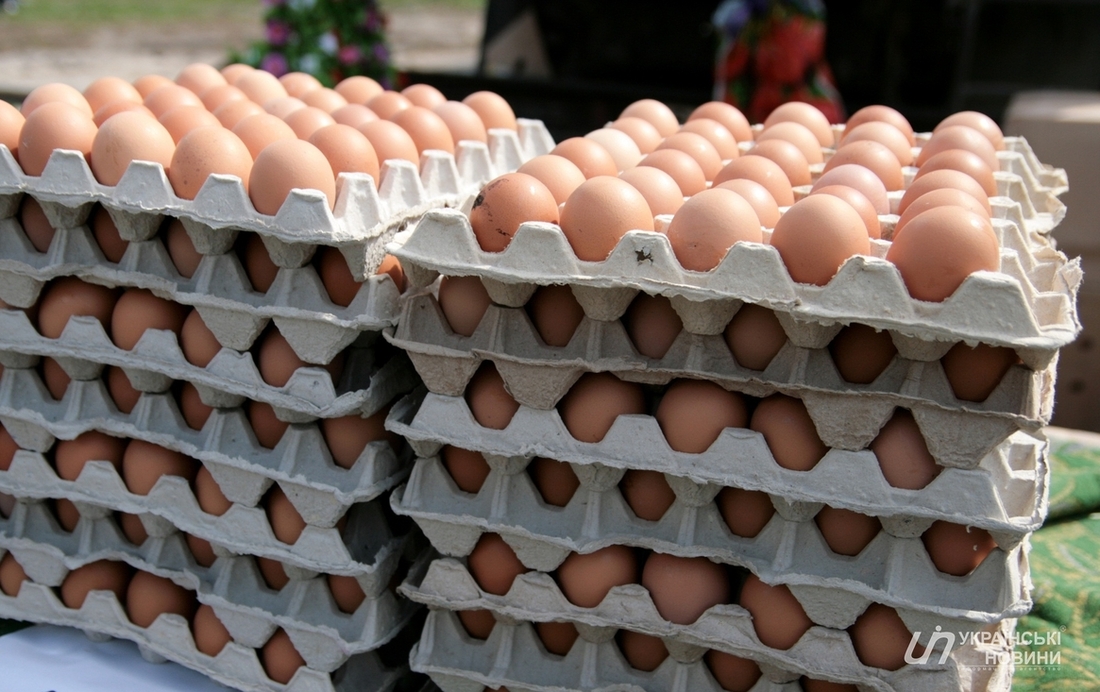 Чому в Україні дорожчають яйця та що буде з цінами до кінця року