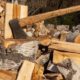 Заготівля дров на зиму – як отримати дозвіл і який штраф за самовільну вирубку лісів