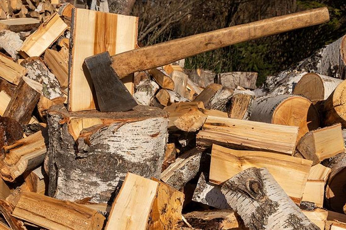 Заготівля дров на зиму – як отримати дозвіл і який штраф за самовільну вирубку лісів