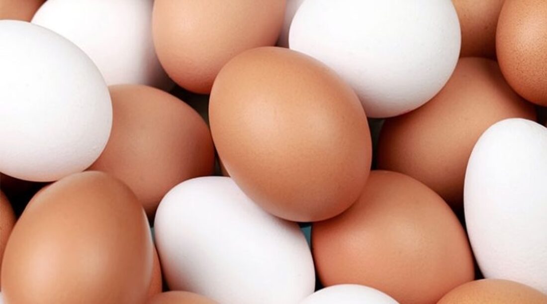 Чи зростатиме ціна на курячі яйця в Україні – Мінагрополітики