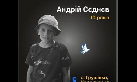 Меморіал: вбиті росією. Андрій Сєднєв, 10 років, Харківщина