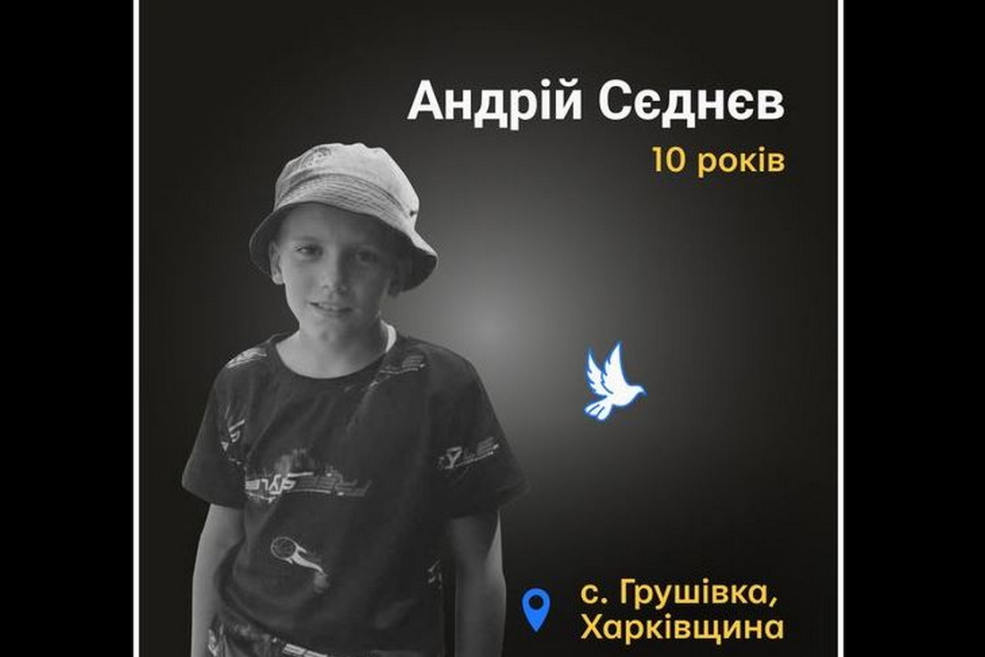 Меморіал: вбиті росією. Андрій Сєднєв, 10 років, Харківщина