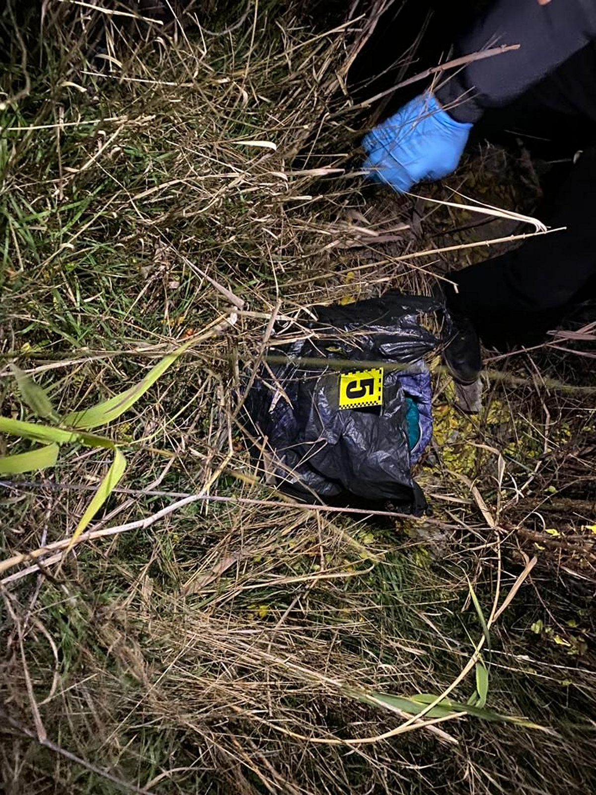 Виявили 5 поліетиленових пакетів: на Дніпропетровщині чоловік жорстоко вбив і розчленував жінку