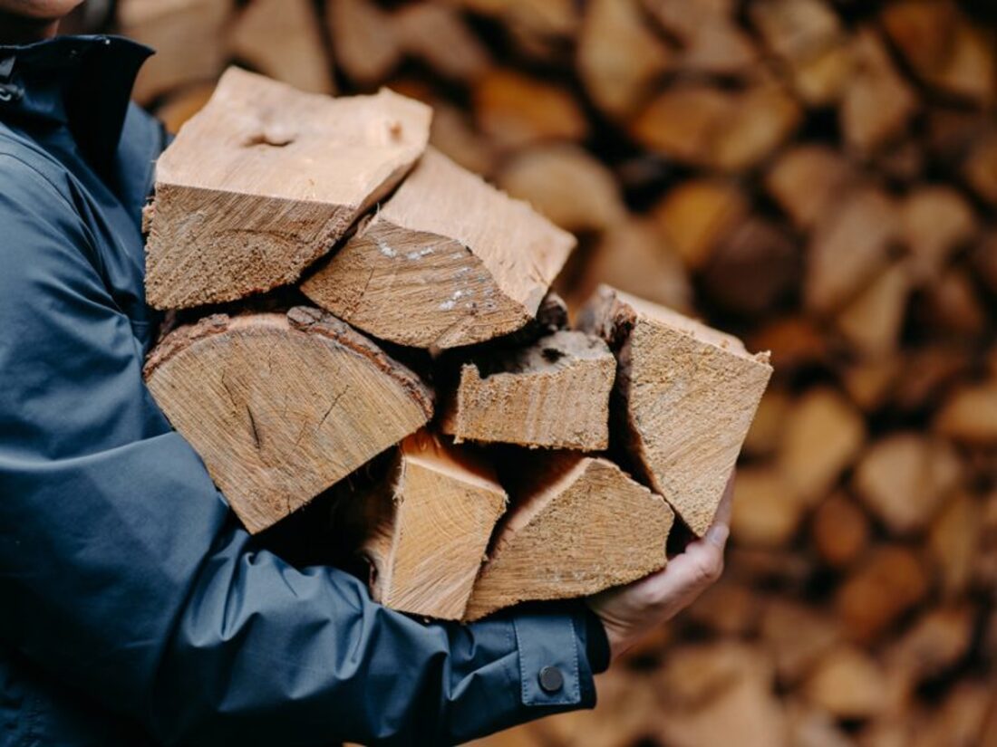 Українцям безкоштовно роздають дрова - як отримати