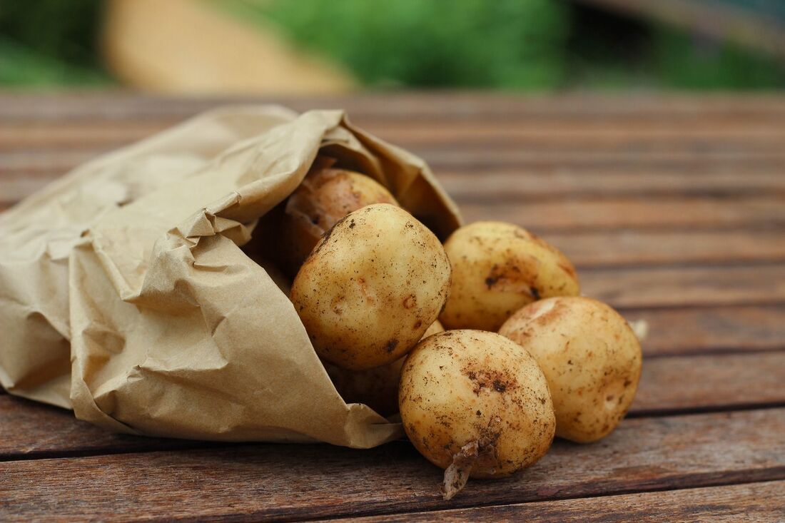 Як взимку зберігати картоплю в квартирі - надійні способи