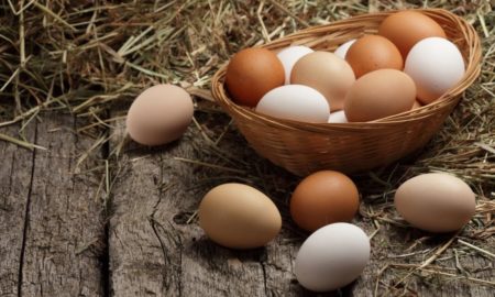 Як зміняться ціни на яйця у 2023 році