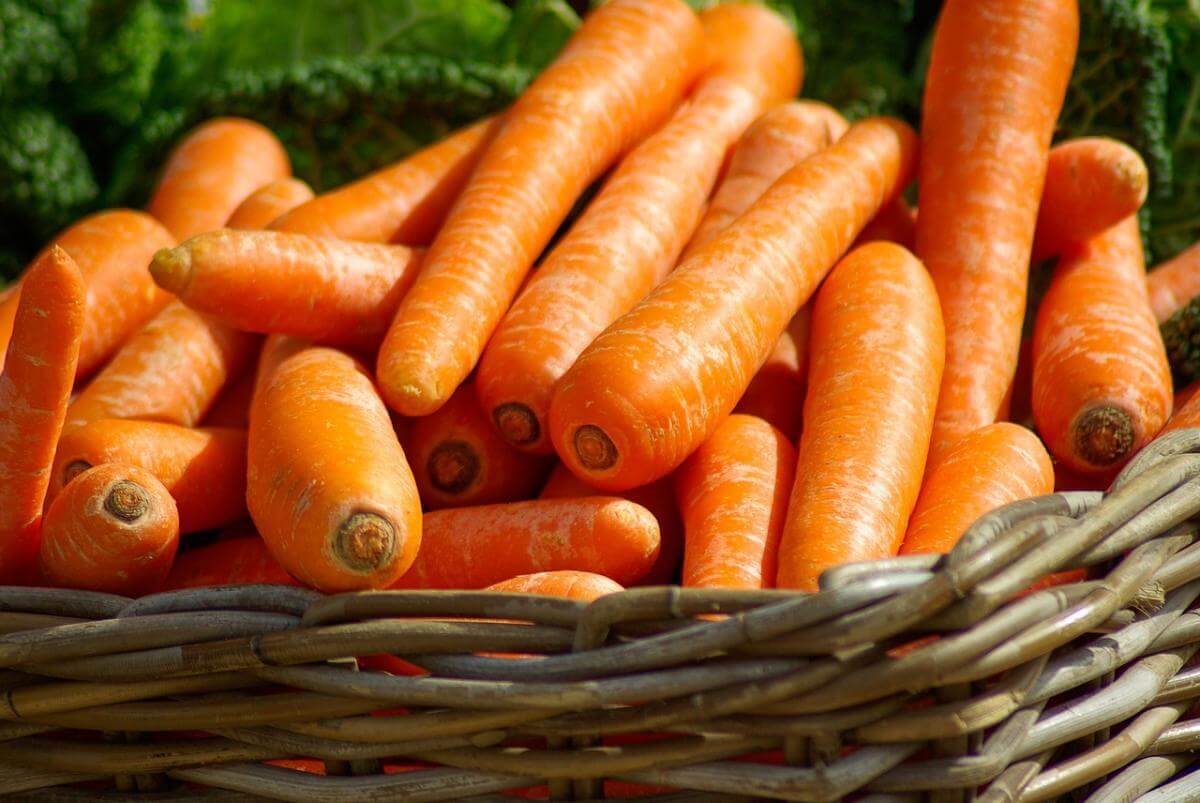 В Україні зросли ціни на моркву: в чому причина