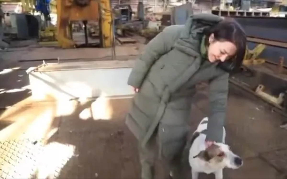 Кумедне відео: Ганна Маляр і собака - пес увірвався в ефір під час виступу заступниці міністра оборони Україні