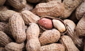 В Україну завезли небезпечний арахіс: що про нього відомо