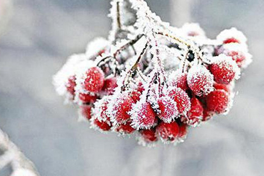В Україну прийшли сильні морози – прогноз погоди до понеділка