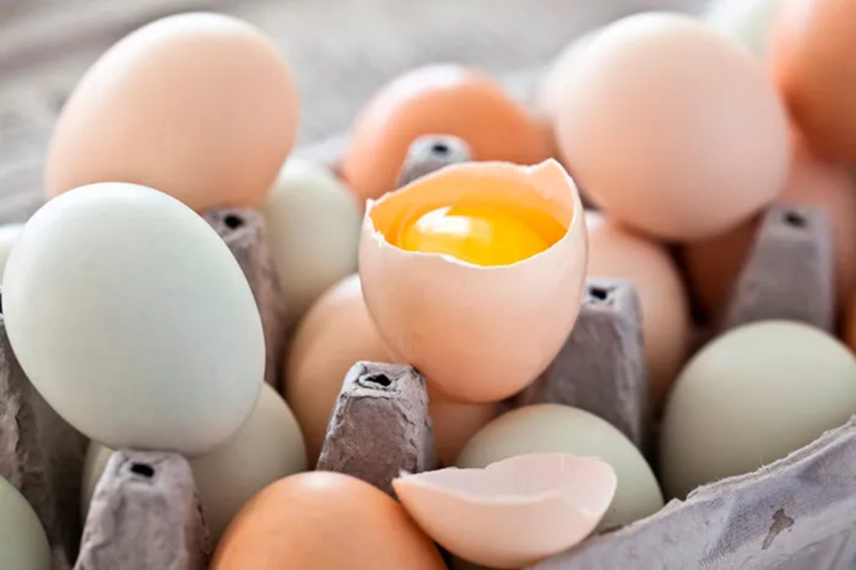 В Україні курячі яйця продаватимуть по-новому - що зміниться
