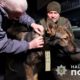 Вони не бачилися 9 місяців: неймовірна історія, як поліцейський з Маріуполя знайшов свого собаку