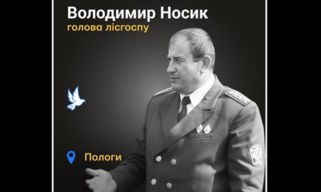 Меморіал: вбиті росією. Володимир Носик, 65 років, Пологи