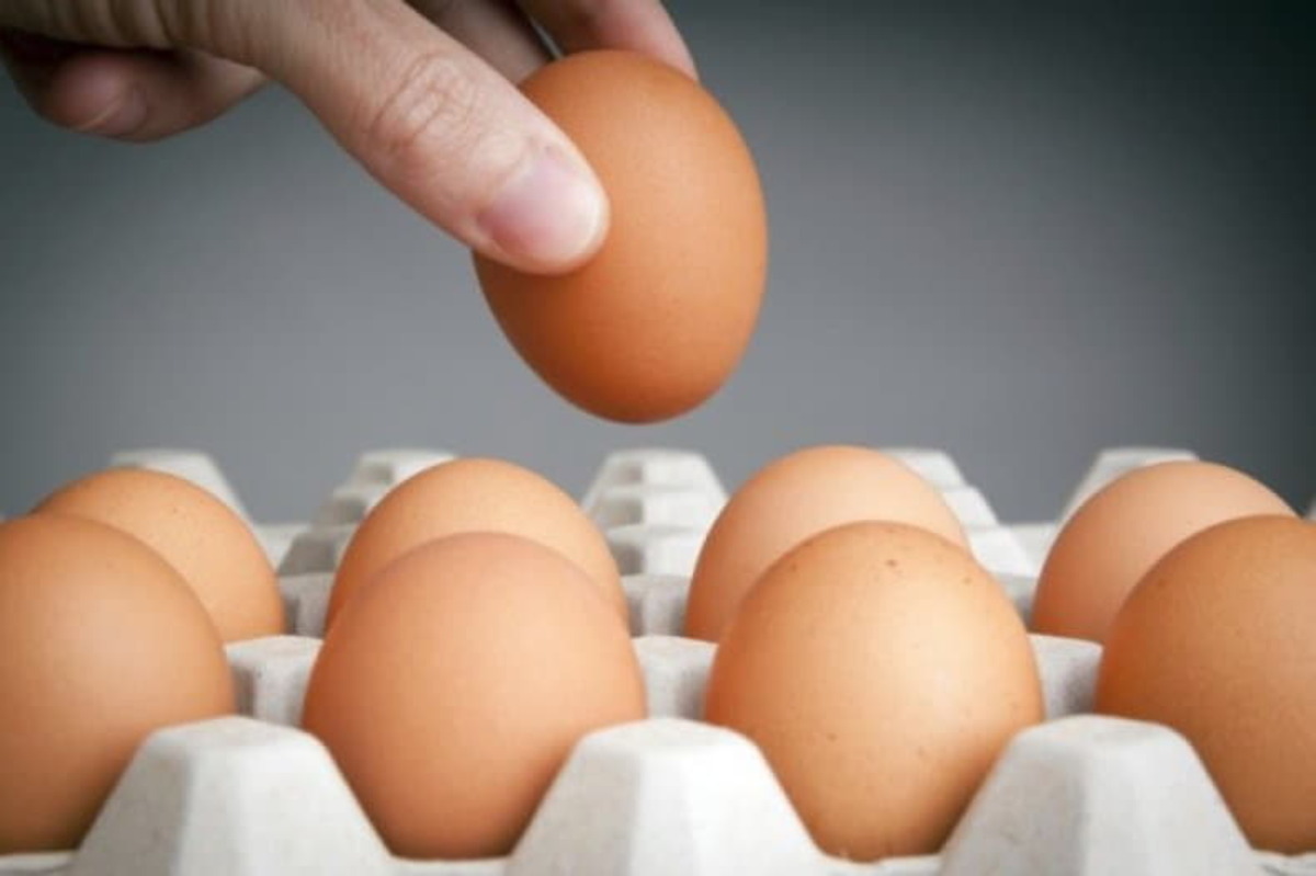 Як перевірити яйця на свіжість - способи, про які мало хто знає