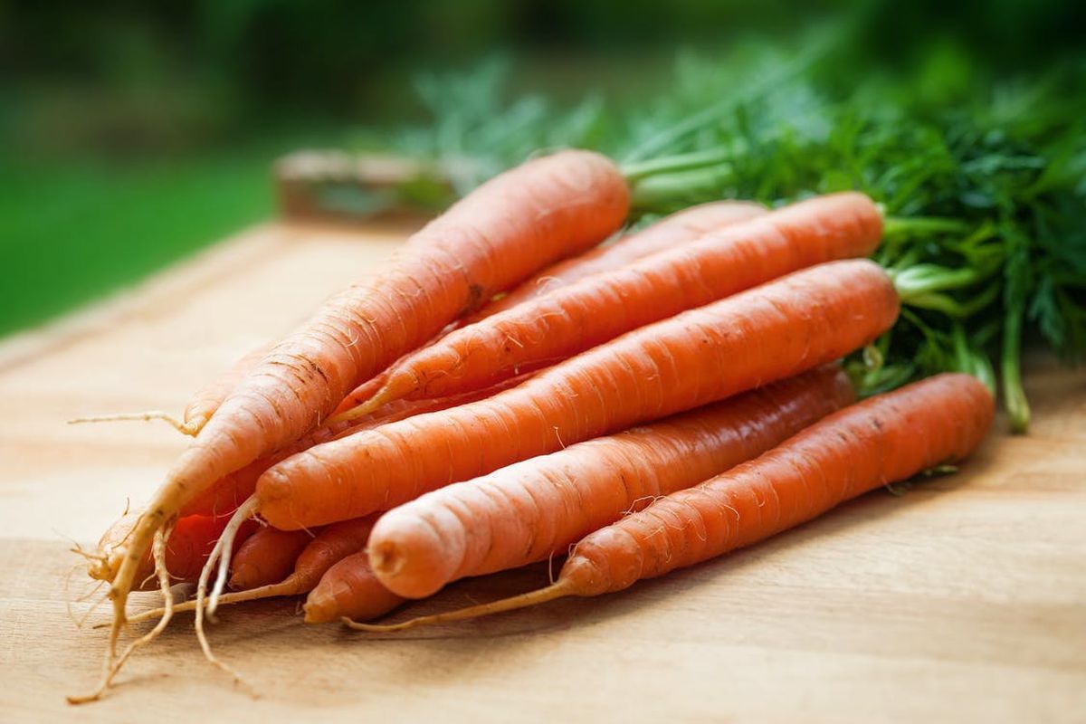сорти моркви