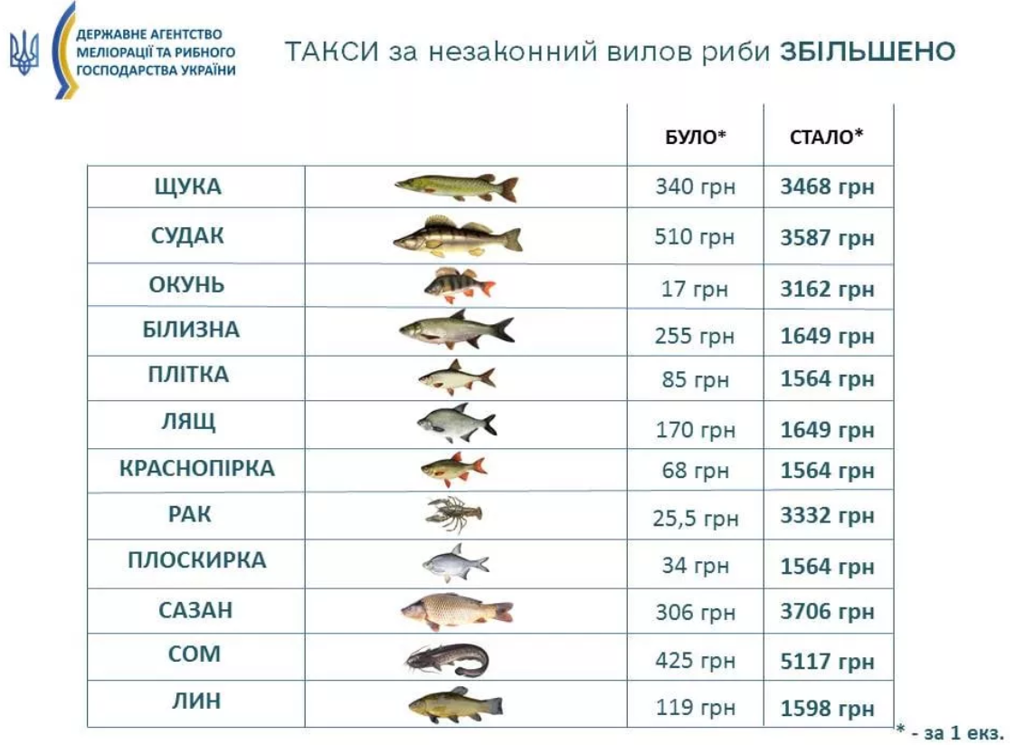 Заборона на вилов риби у водоймах України з 1 квітня – що не можна робити