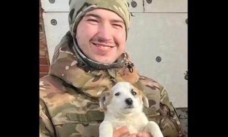 Мама полеглого Героя розшукала собачку, яку син підібрав незадовго до загибелі (відео)