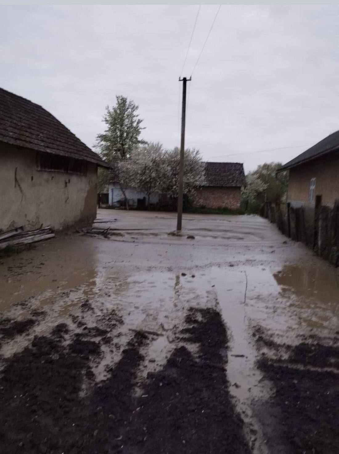 Люди у шоці: у селі на Львівщині кипить вода у криницях і б’ють гейзери – що відомо про аномальне явище (фото, відео)