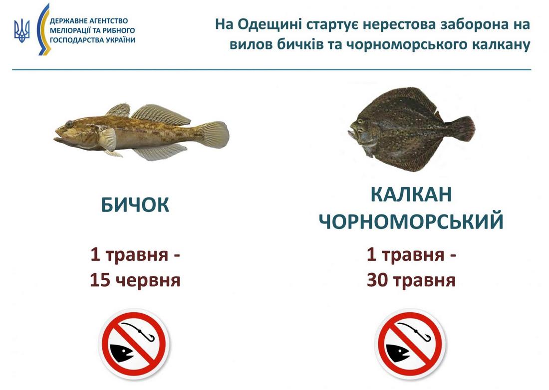 заборона на вилов риби в Україні