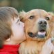 Які породи собак можуть стати небезпечними для дітей – ТОП-5