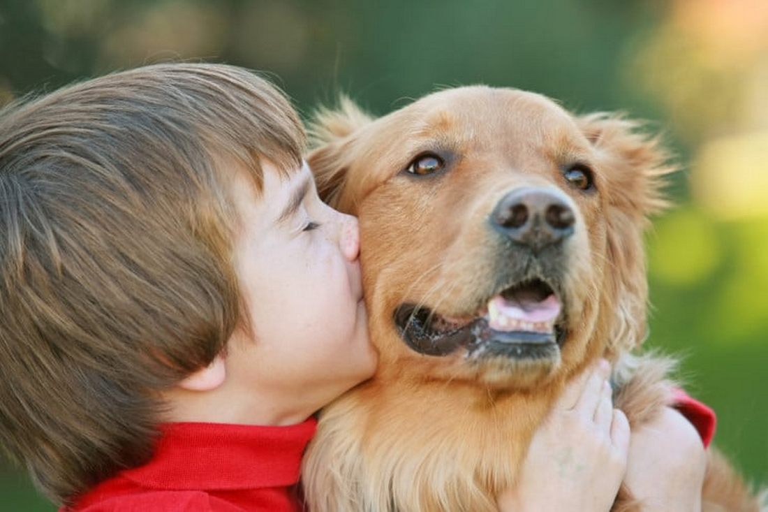 Які породи собак можуть стати небезпечними для дітей – ТОП-5