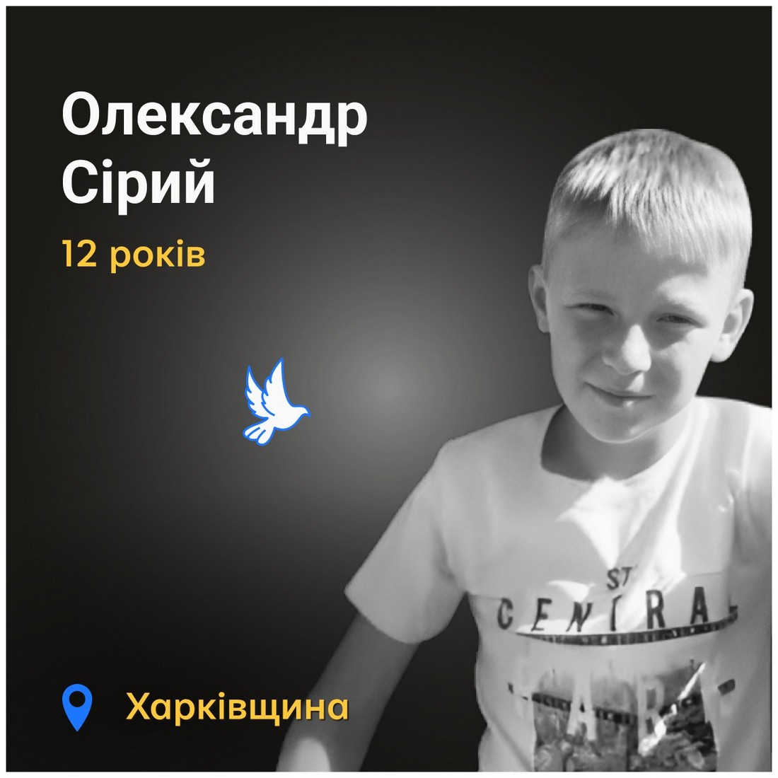 Меморіал: вбиті росією. Олександр Сірий, 12 років, Харківщина, червень