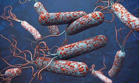 На Дніпропетровщині, Миколаївщині і Херсонщині розгорнуто інфекційні хаби для швидкого тестування на холеру