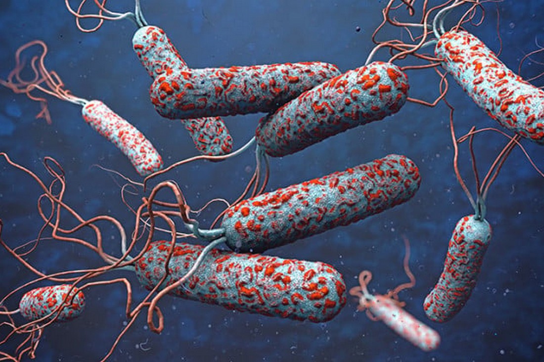На Дніпропетровщині, Миколаївщині і Херсонщині розгорнуто інфекційні хаби для швидкого тестування на холеру