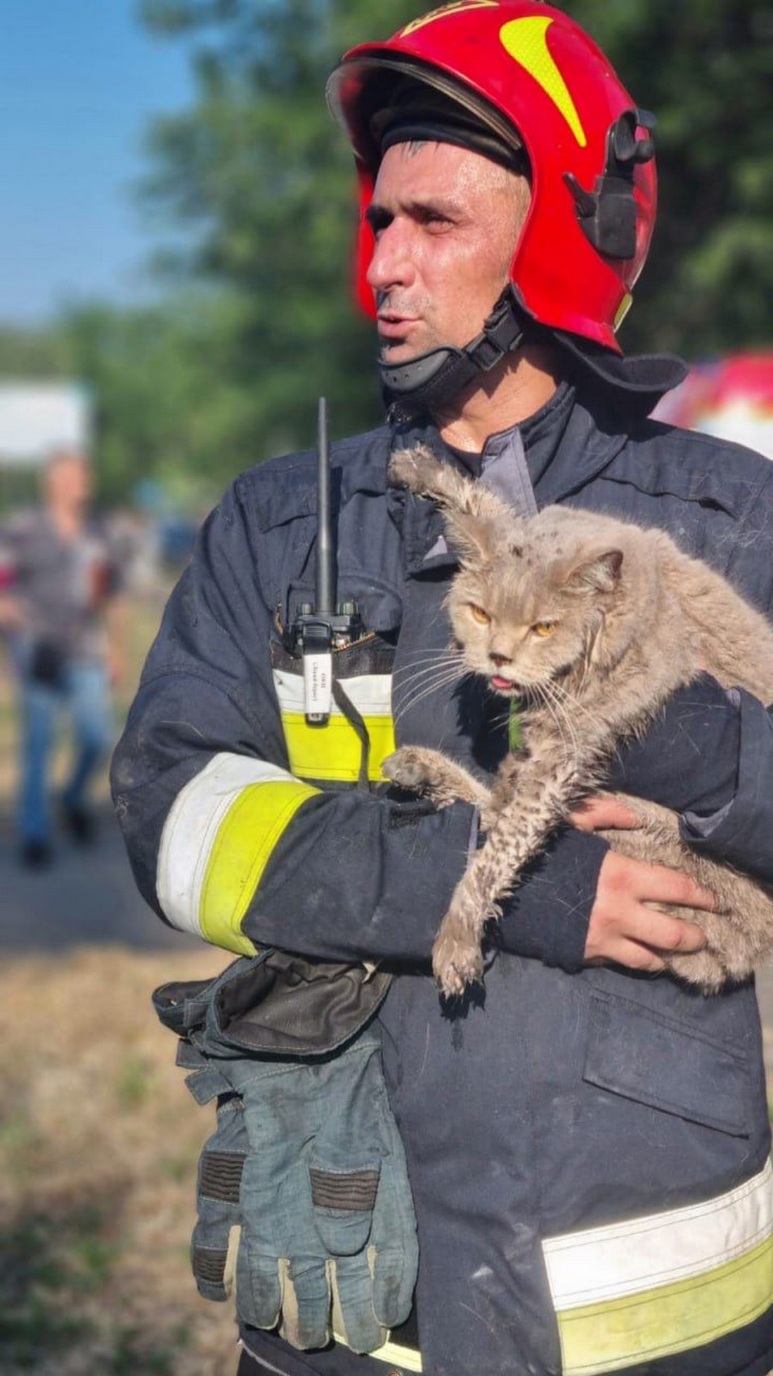На місці вибуху у багатоповерхівці Києва пожежники врятували кота, - ДСНС
