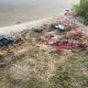 Вдарили «Смерчем» по водоймі, де відпочивали люди: серед загиблих на Донеччині двоє дітей