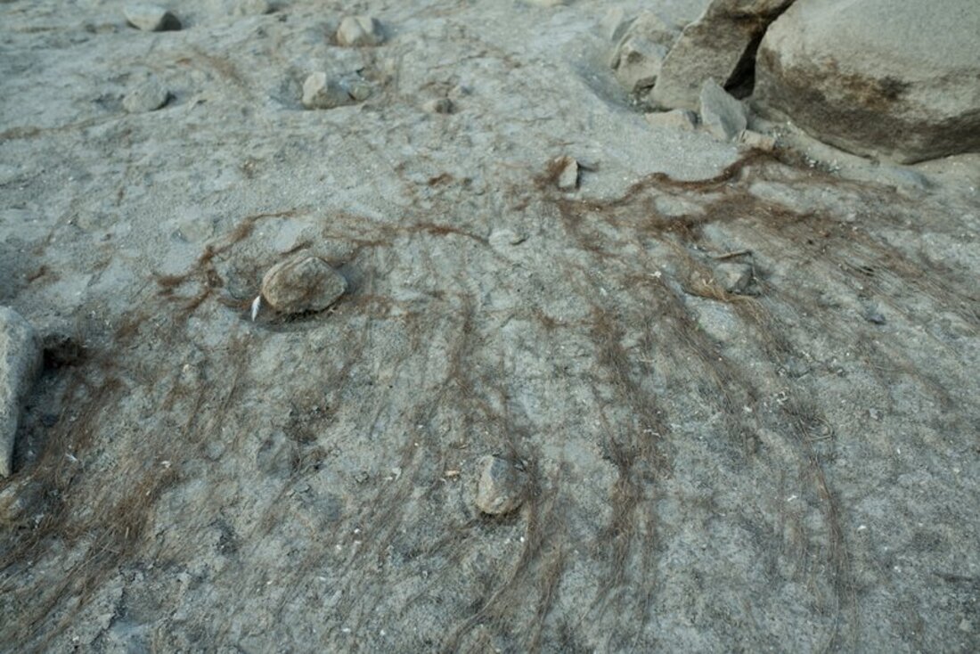 Голе каміння на острові Хортиця у Запоріжжі після підриву Каховської ГЕС
