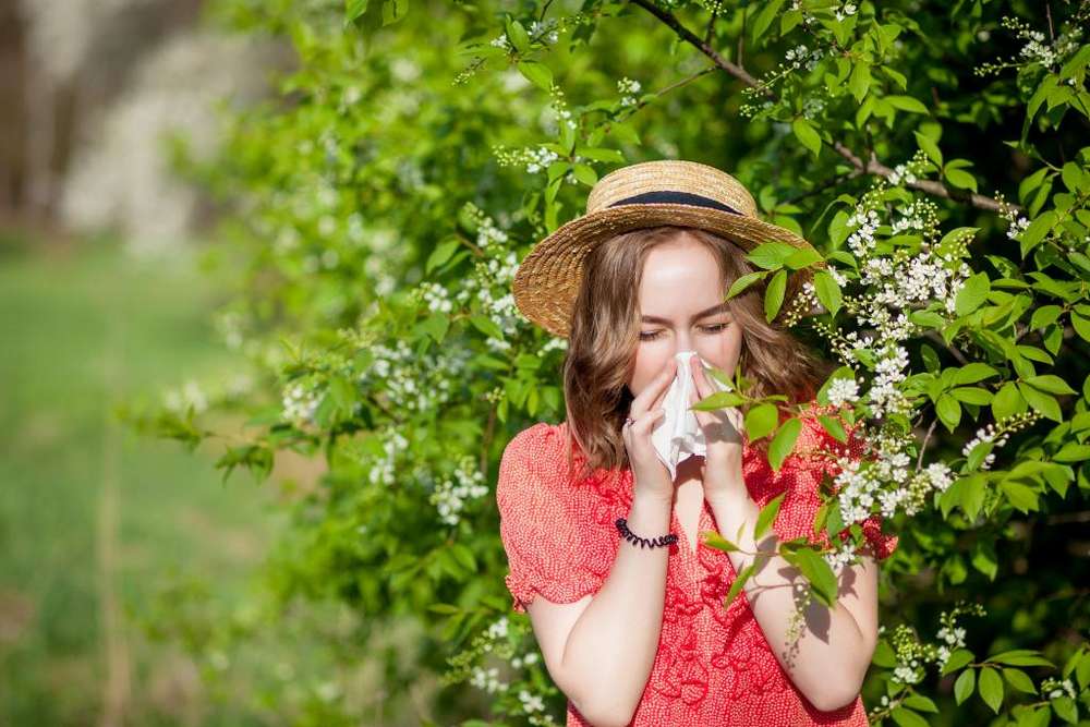 Які рослини викликають алергію – список