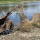 Рибацька сітка, яка зачепилася за пні дерев які були сховані під шаром води Каховського водосховища