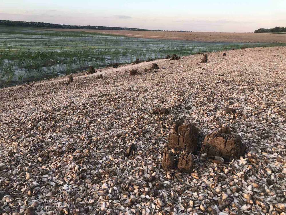 на дні колишнього водосховища