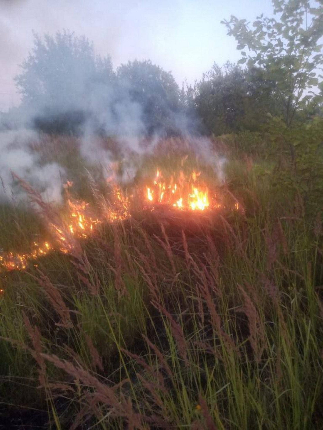 Нічна повітряна атака на Україну 11 липня: все, що відомо