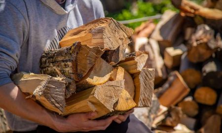 Підготовка до зими скільки коштують дрова в Україні