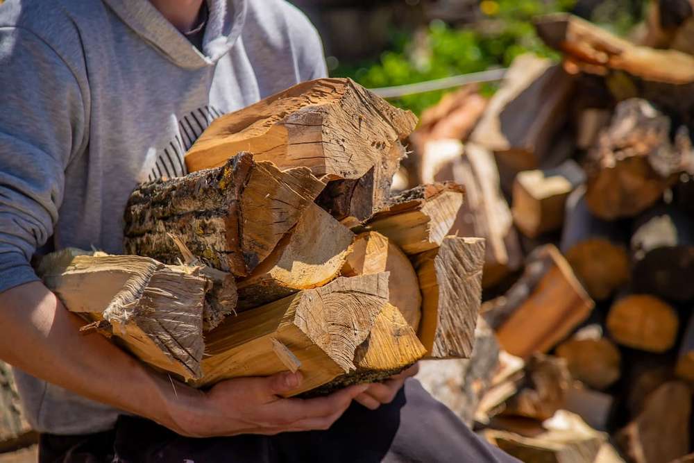 Підготовка до зими скільки коштують дрова в Україні